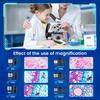 Biological Microscope for Convenient Movement of Specimens 40-640X Optical Microscope