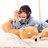 Shiba Inu Plush Toy - Cute Stuffed Animal Pillow and Birthday Gift