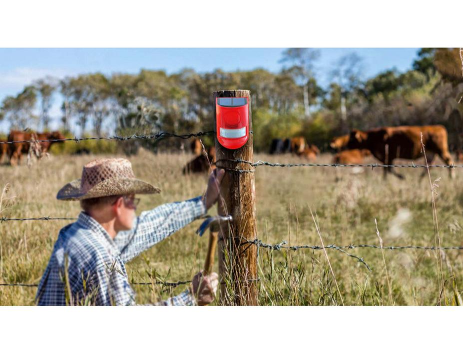 Solar-Powered Infrared Sensor Alarm & Animal Repellent Light with Remote Control