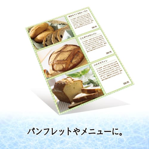 Plus Inkjet Paper Thick Matte Paper A4 Size 50 Sheets IT-125MC 46-114