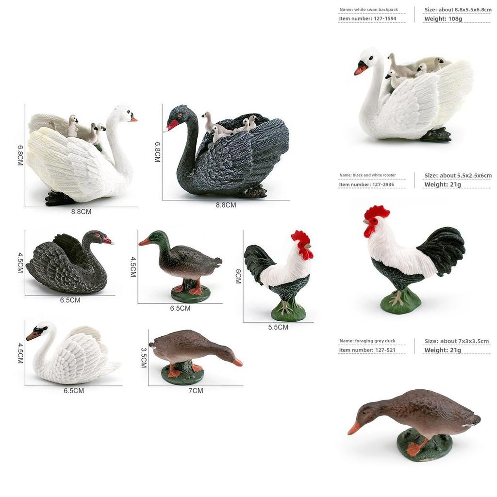 Tierfigur mit realistischen Plastikenten, Hahn, Schwänen für Bildungszwecke und zum Sammeln