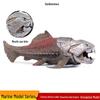 Ancient Marine Animals & Dinosaurs Model Toys - Dunkleosteus Cognitive Ornaments