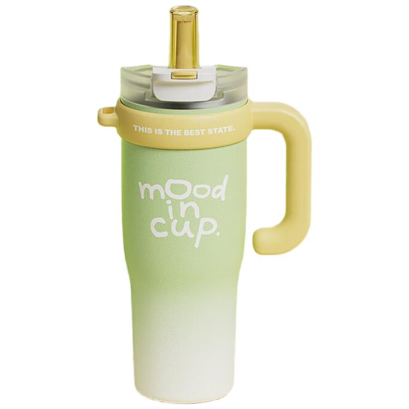 Wushengwu Insulated Straw Tumbler