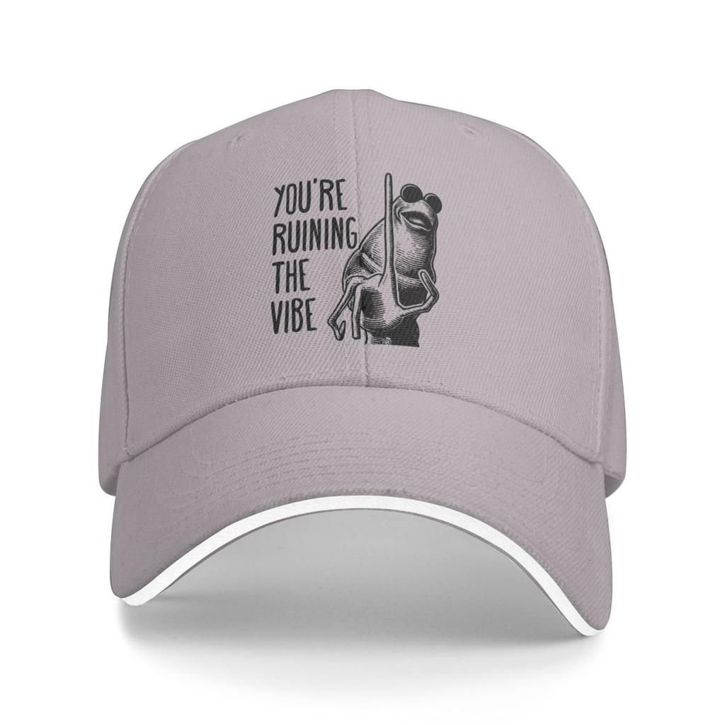 Baseball Caps You're Ruining The Vibe Fun Graphic Unisex Casual Spring Hats