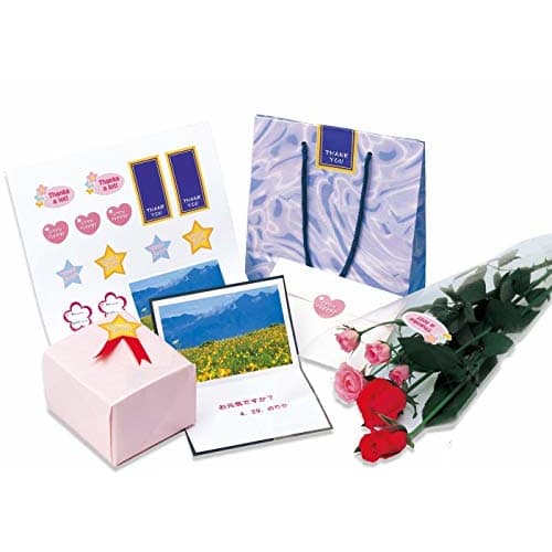 A-One Label Sticker Glossy Paper Inkjet A4 Uncut 10 Sheets 28691