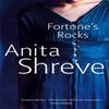Fortunes Rocks by Anita Shreve Paperback Book 9780349112763