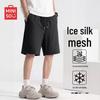 Men's Quick-Dry Mesh Summer Casual & Sport Shorts