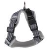 Haustiergeschirr Verstellbar Atmungsaktives Netz Explosionsgeschützt Haustierweste Geschirr für Outdoor-Aktivitäten Nachtspaziergang Grau