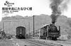 Steam Locomotive EX (Explorer) Vol.60 (Icarus MOOK)