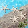 15 Pieces Creamy-white Pencil Finger Starfish For Wedding Dcor
