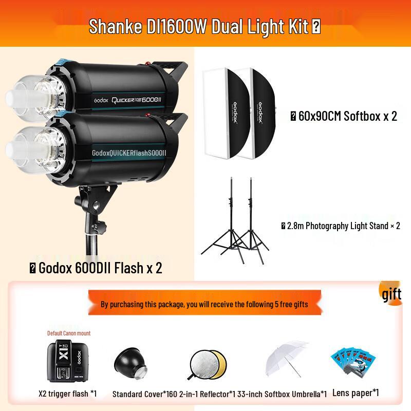 Godox DII 600W Second Generation Studio Flash Twin Kit