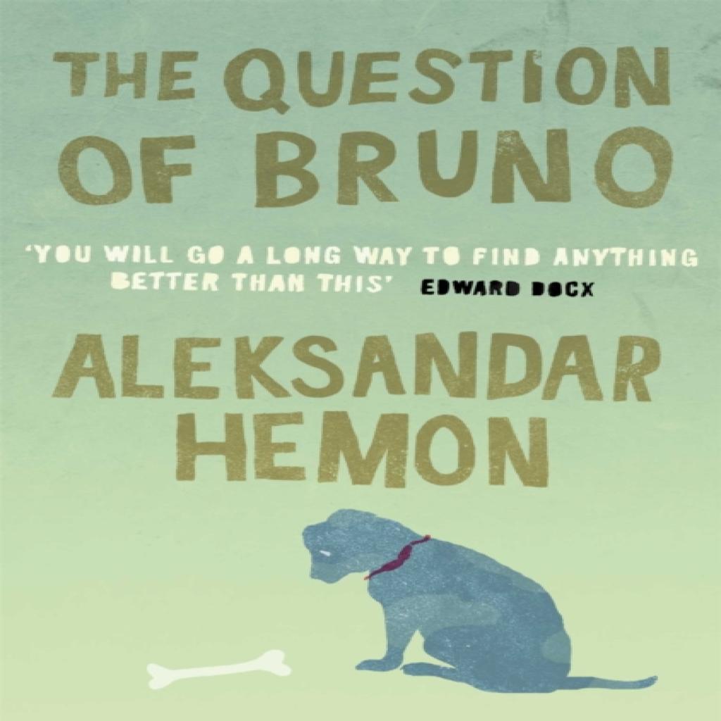 The Question of Bruno by Aleksandar Hemon Paperback Book 9780330393485