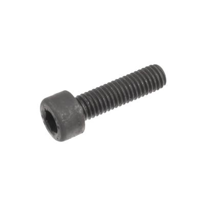 Cedrus Crankcase Bolt Blower Dm02 070190