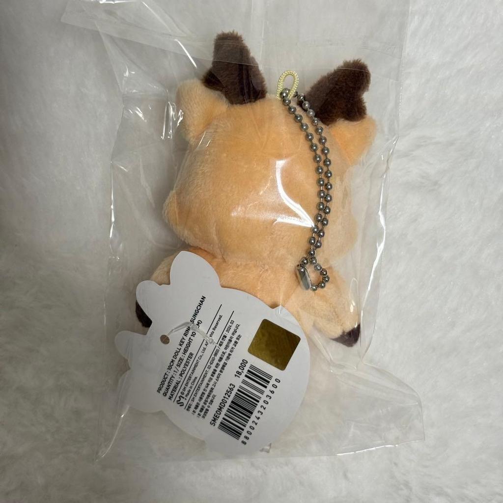 Used [Anonymous Delivery] RIIZE Sungchan Ullabam 10cm Doll Stuffed Toy