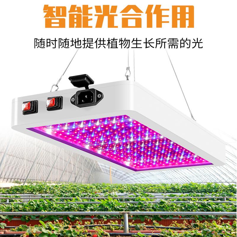 5000W Quantum Board LED Pflanzenlampe Phytolampe Vollspektrum LED Pflanzenlampe Indoor 4000W Phytolampe für Blumensämlinge Fitolamp