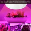 200LED Plant Light Single Head LED Plants Growing Light for Garden Greenhouse 85V-265V