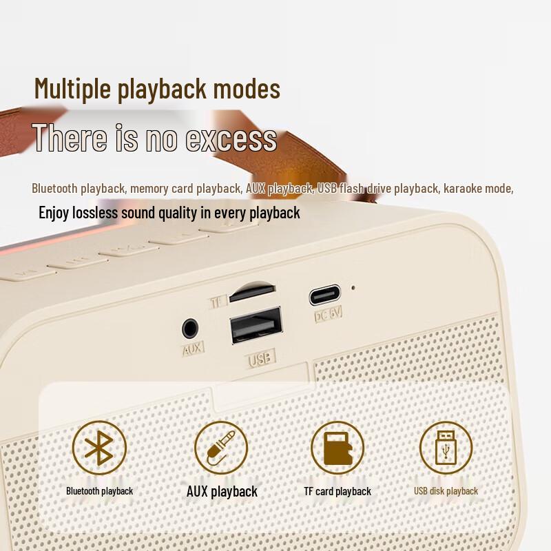 SAST A66 Home KTV Karaoke Microphone Speaker System CN plug (adapter included)