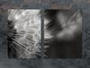 GLAS Schutzplatte Brett 75x52 BLUME