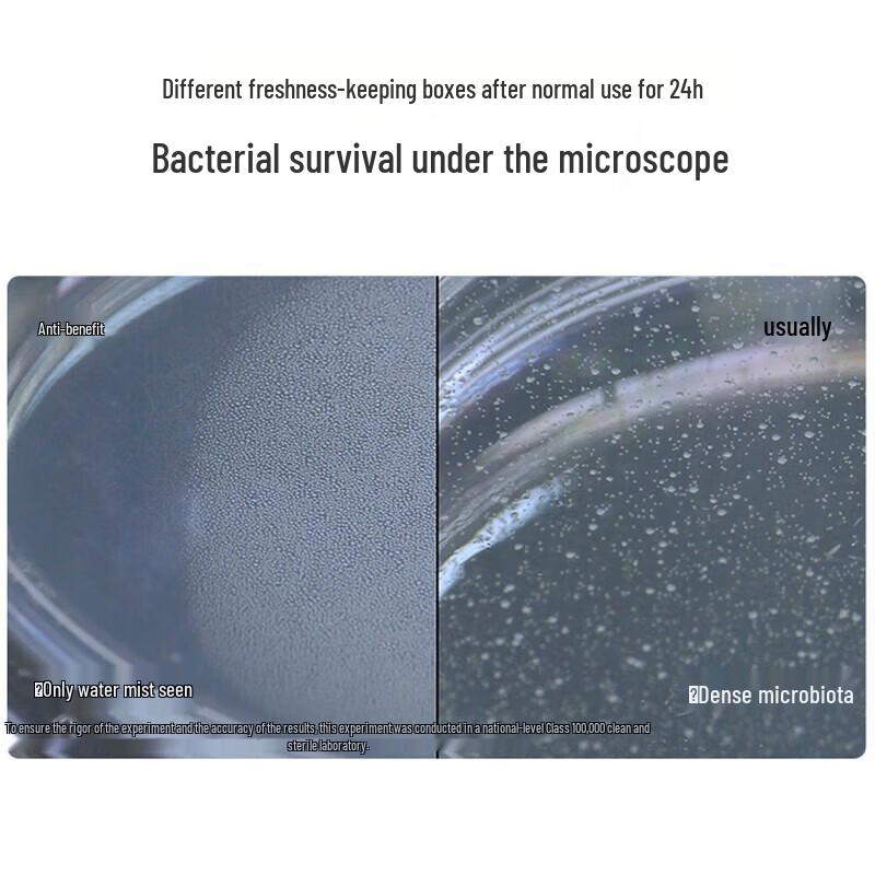 Chahua Antibacterial Refrigerator Food Storage Container