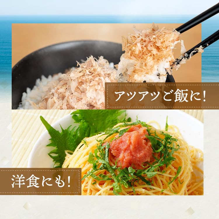 Hokuiri Honkarebushi Crushed Shavings 100g Katsuobushi Kagoshima Prefecture Produced Minister Agriculture Forestry Fisheries Award Winner Dashi Dried