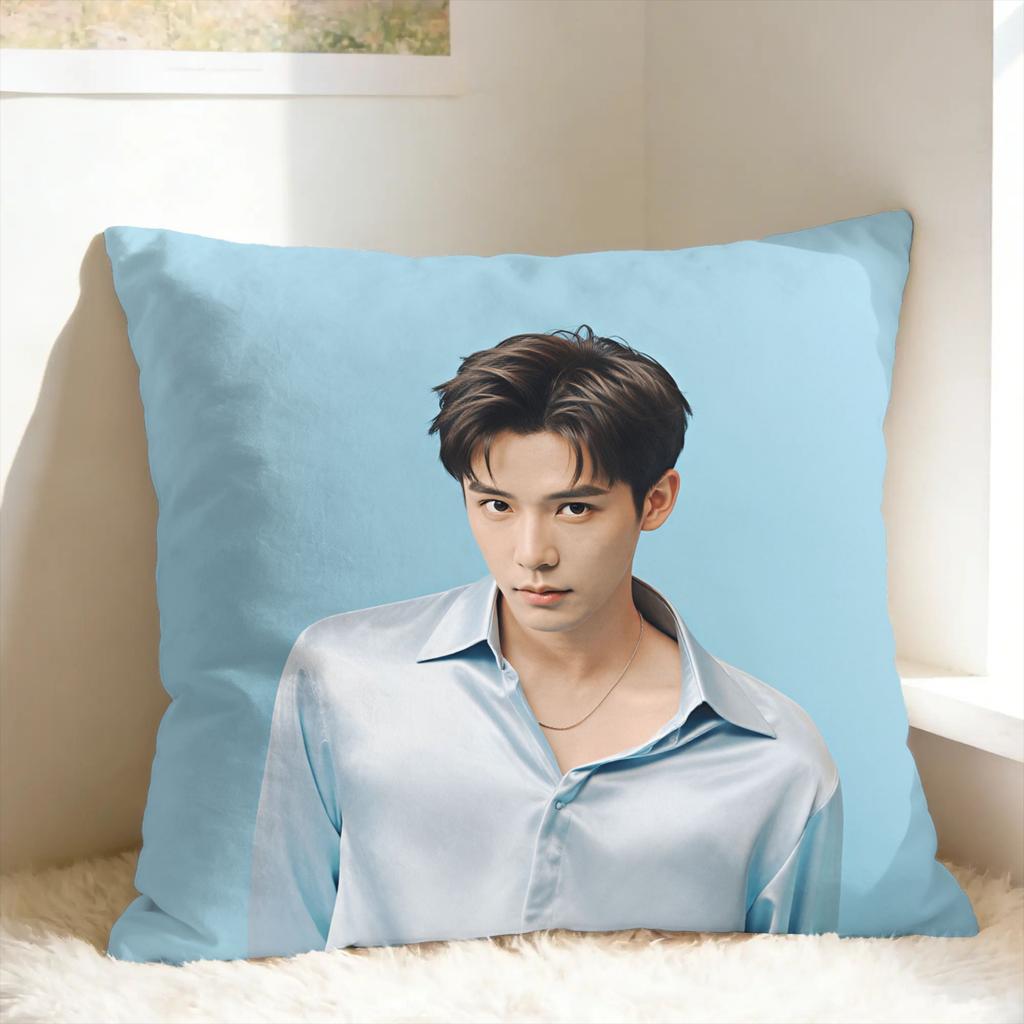 Wang Anyu Actor Pillow Case Graphic Pillow Cover Funny Pillowcases For Sofa Home Decor