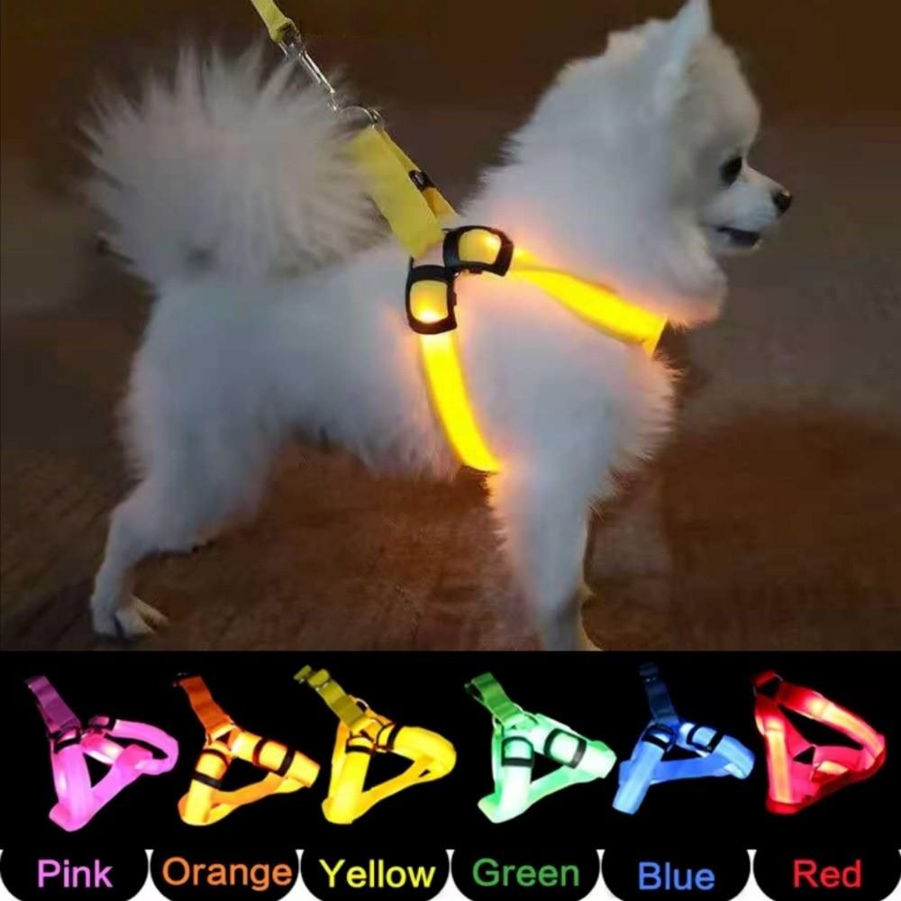 Imbracatura LED per Cani Ricaricabile Regolabile Laccetto Pet Luminoso Morbido Gilet Lampeggiante per Cani Attività all'Aperto