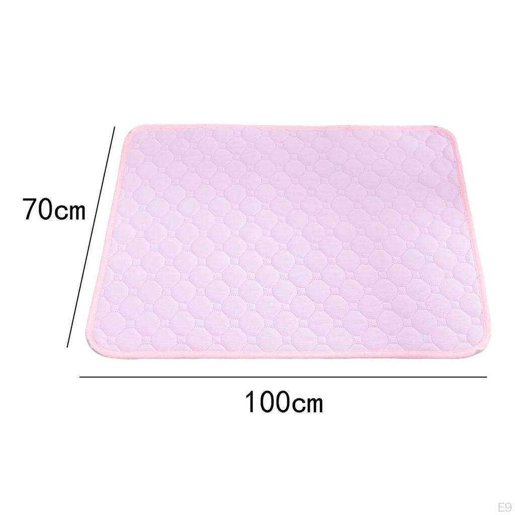 Dog Training Pad for Puppies - Absorbent And Airy
