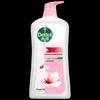 Dettol Moisturizing & Protecting Shower Gel