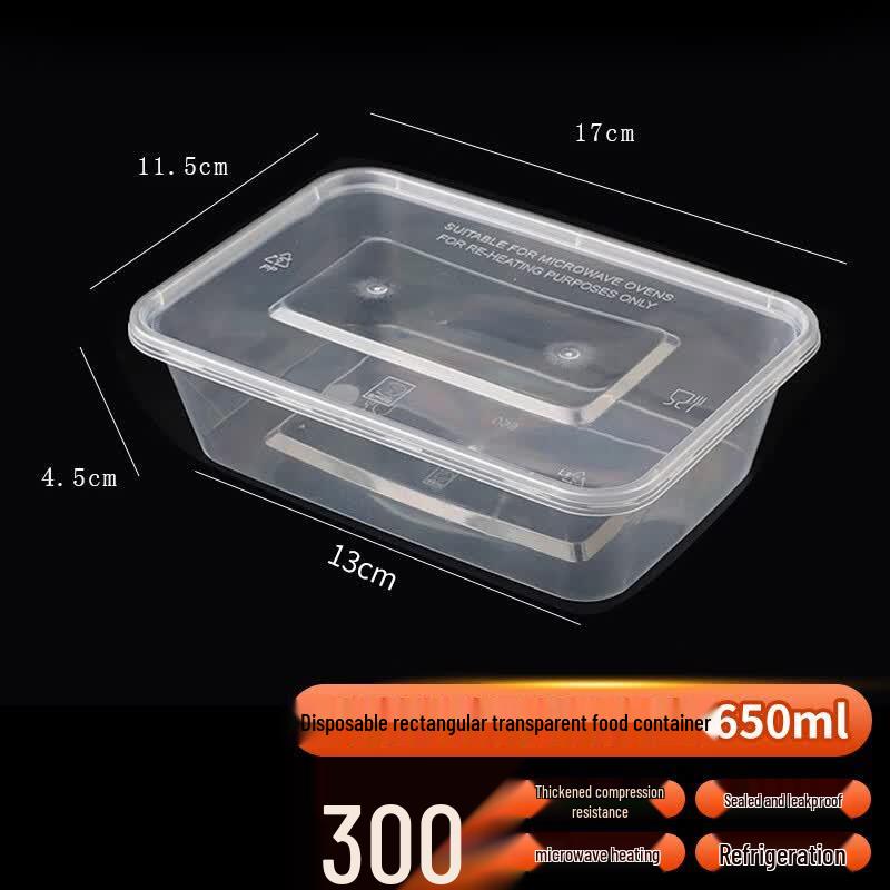 Edo Disposable Transparent Food Containers with Lids