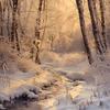 Diamond Painting Kit - Snow Scene DIY Set, Round Acrylic Diamonds, Frameless Home Wall Decor Art and Craft Kit, Surprise Gift