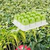 5 Pcs Plant Starting Tray Silicone Reusable Pop Out Cells Indoor Plant Germination Tray for Vegetables Fruits Flowers
