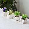Creative Cartoon Alpaca Swan Ceramic Flowerpot Nordic Plant Pot Succulent Flowerpot Animal Shaped Pots Home Decoration Ornaments