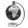 Tianyu 32cm Luminous English Globe for Students and Children
