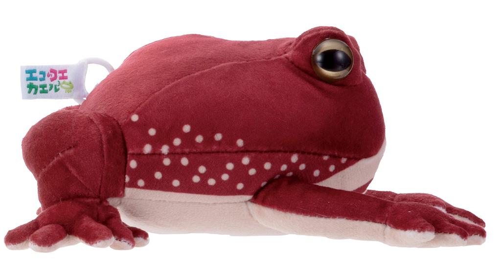 Iwaya Ecokoe Frog (Amefukura Frog) ST Mark, Ages 3 and Up, Sound-Emitting Plush Toy, Wind-Up Toy, No Need for Replacement