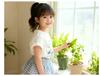 2025 Korean Summer Cute Cat Print Short Sleeve Plaid Skirt Set