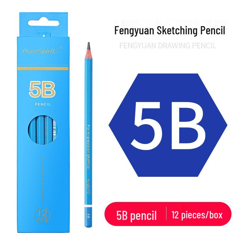 Charcoal Sketching Pencils Set: Soft/Medium/Hard (2B, 4B, 6B, 8B, 10B, 12B, 14B) for Students & Artists