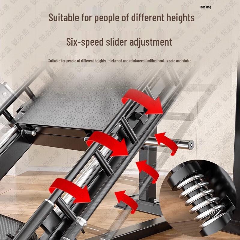 RuiBisheng 45° Deep Squat & Leg Press Machine