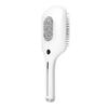 Morphy Richards Hair Growth Massage Comb MR2136D CN plug (adapter included)