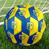 FC Luzern Indoor Soccer Ball Size 5 Colorful All Ages Machine Stitched PVC Competition Ready Durable High-Bounce