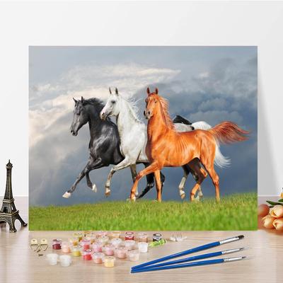 DIY Painting By Numbers Numbers Oil Painting Home Decoration Digital Oil Painting Hand Painted Canvas