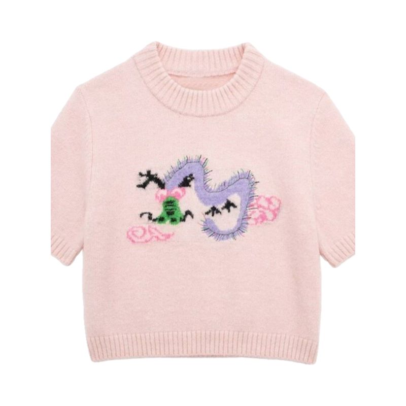 Fashion Style 2024 Spring New Arrival Women's Clothing Slim Looking Easiest for Match Embroidery Short Top Sweater 5755003620