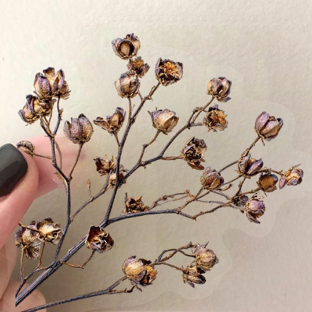 50Pcs Dried Flower Collection Record PET Stickers Decorative handmade Scrapbooking Material Diary Album Craft Supplies