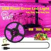 1M/2M/3M/4M/5M Pflanzenlicht Grow LED-Streifen 5V USB LED 1-5m Vollspektrum Wasserdichter LED-Chip für Gewächshaus Blume Setzling Grow Box Hydroponik