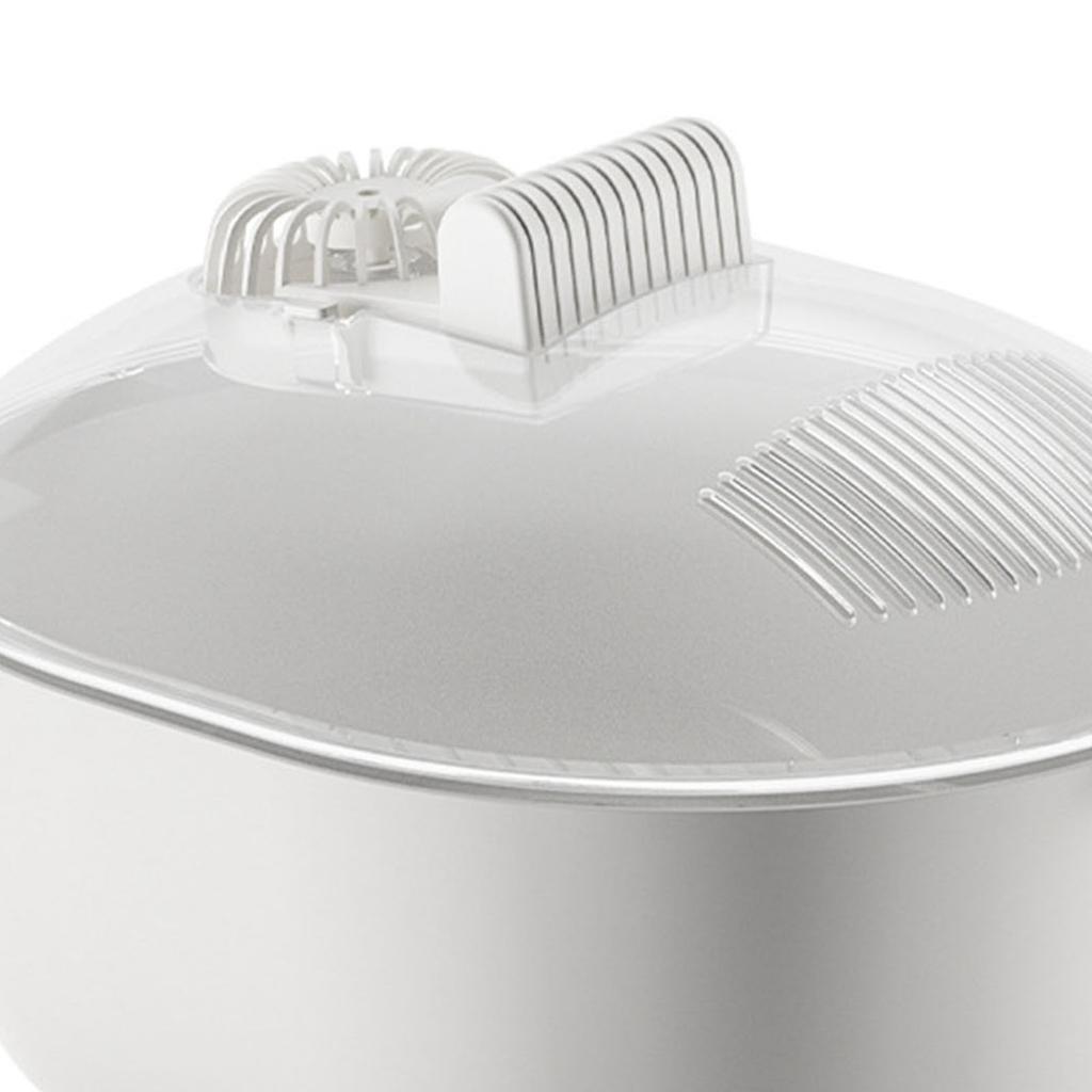 Auftaubox Sicher Gefrorenes Fleisch Huhn Fisch Steak Schnellauftaugerät für Küchenzubehör