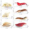 Realistic And Durable Pvc Ocean Creature Model Collection Featuring Snowman Crab And More