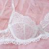New European & American Sexy Lace See-through Ultra-thin Comfort Bra & Panty Lingerie Set