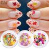 Nail Art Accessories 6 Bottles Maple Leaf Autumn Mixed Color Sequin Nail Art Accessories
