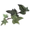 Wall Sticker 14*112cm Bedroom Decoration Green Vine