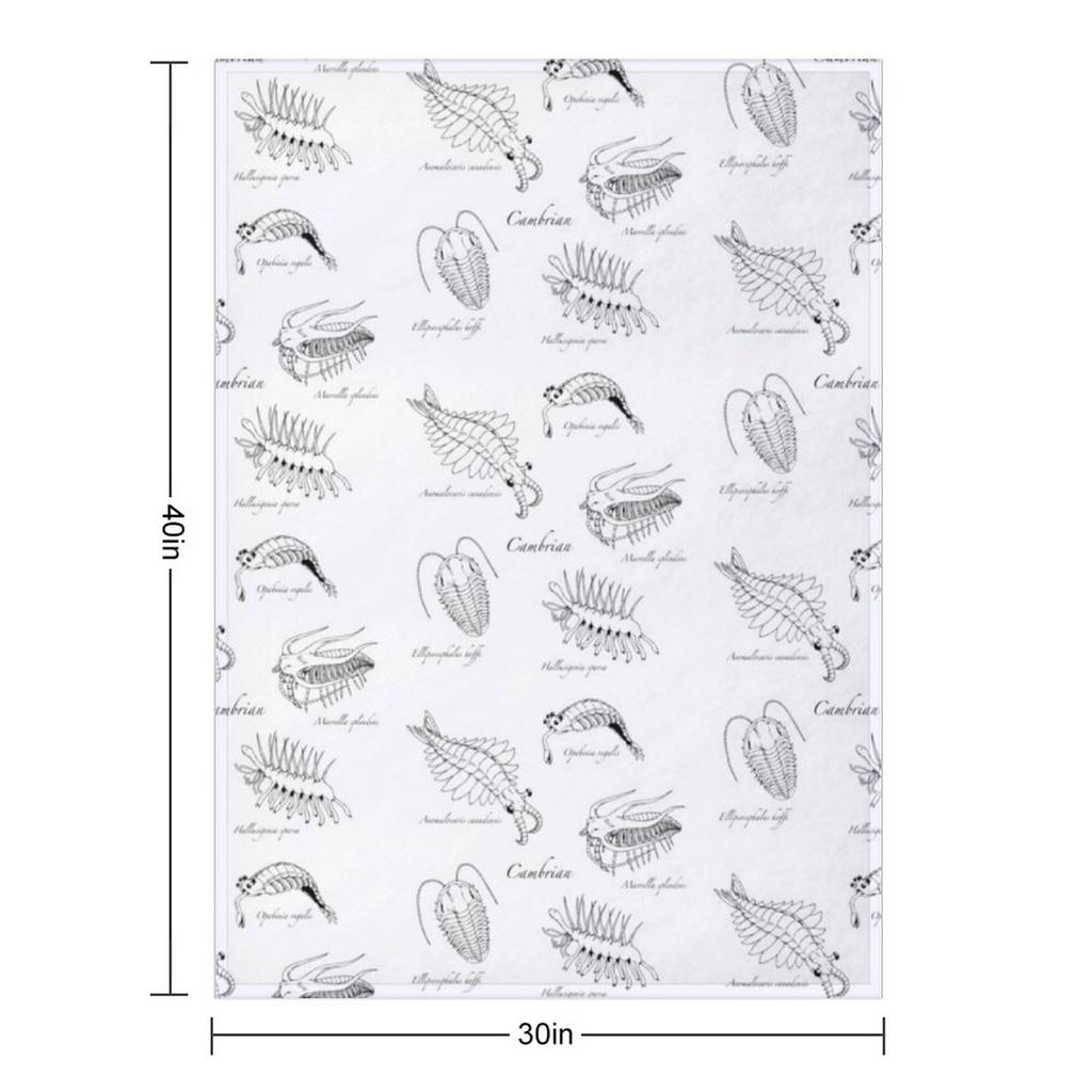 Cambrian Life Throw Blanket Flannel Fabric Furry Heavy Decorative Throw Blankets