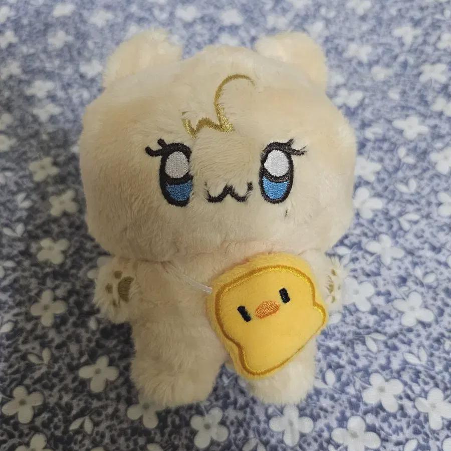 

I Sell Plave Dung Gle Eve Noah
